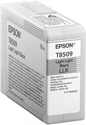Epson atrament SC-P800 light light black 80 ml